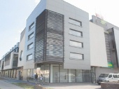Ikona