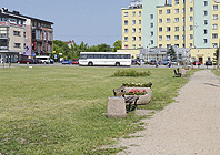 Ikona