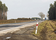 Ikona