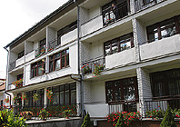 Ikona