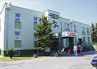 Ikona