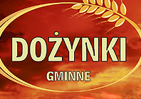 Ikona