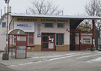 Ikona