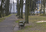 Ikona