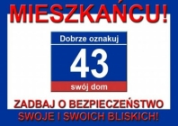 Ikona