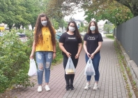 Ikona