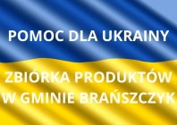 Ikona