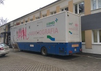 Ikona