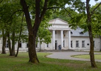 Ikona