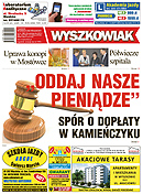 Ikona